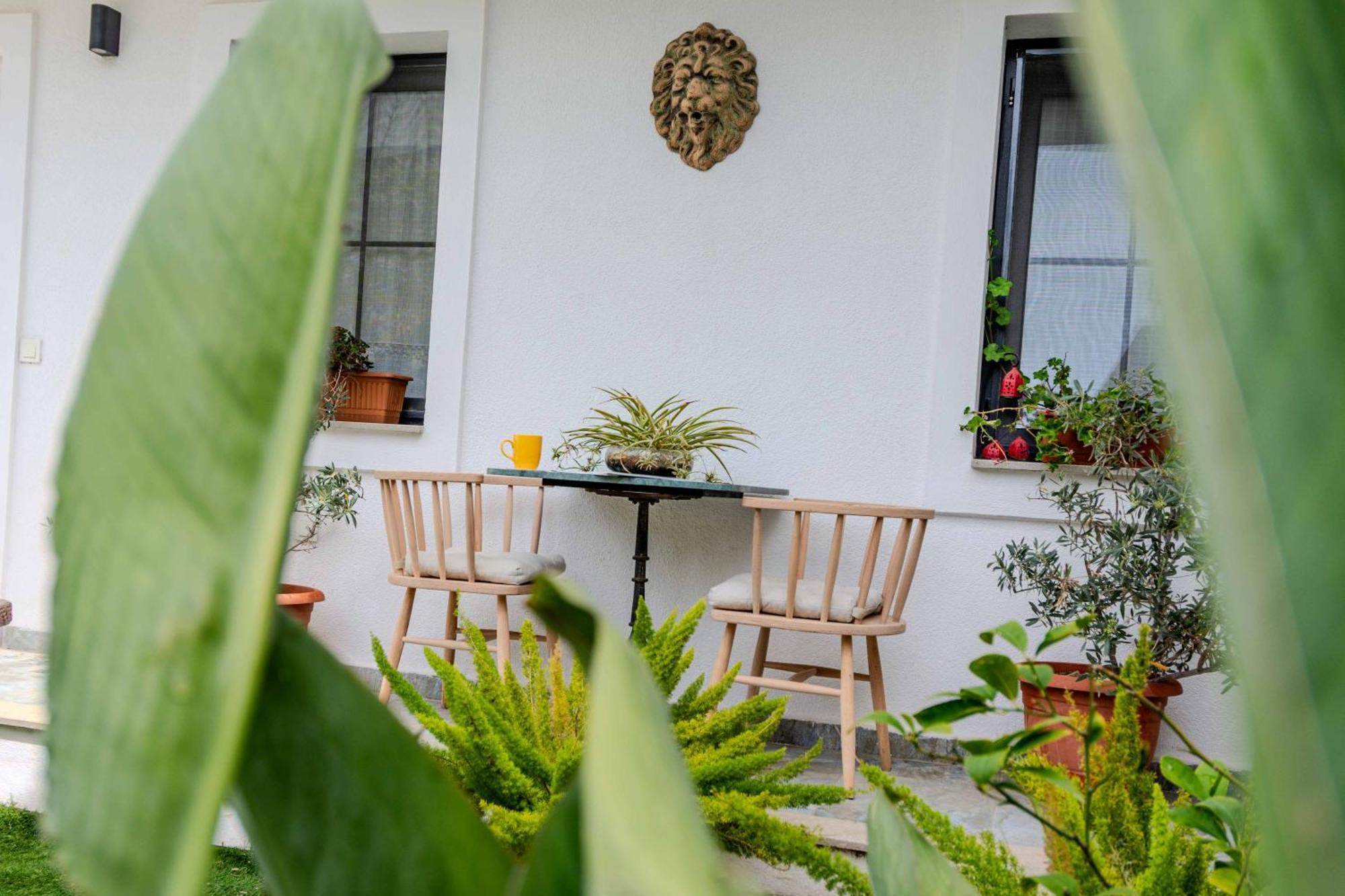 Arden's House Bed and Breakfast Bodrum Buitenkant foto